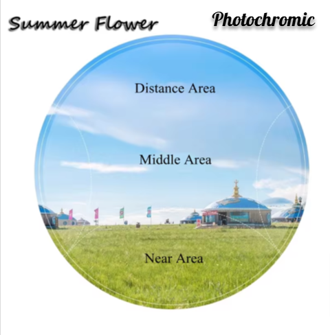 Summer Flower Progressive Photochromic Lenses Lenses Summer Flower Lenses