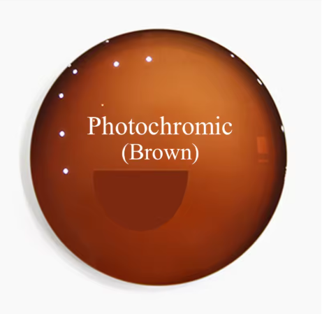 Xbora Flat Top Round Bifocal Photochromic Lenses