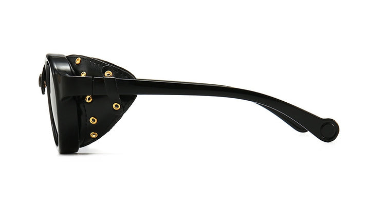 CCspace Unisex Full Rim Oval Round Resin Frame Steampunk Sunglasses 46311 Sunglasses CCspace Sunglasses