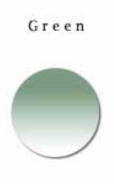 Reven Jate 1.61 MR-8 Digital Free Form Progressive Tinted/Clear Lenses Lenses Reven Jate Lenses Green
