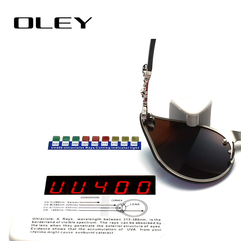 Oley Luxury Brand Women Gothic Mirror Sunglasses Skull Frame Metal Temple Y7001 Sunglasses Oley