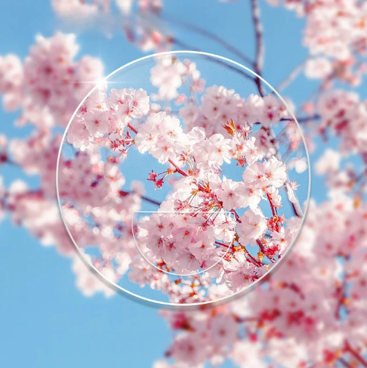 Vicky Flat Top Round Bifocal Clear Lenses Lenses Vicky Lenses 1.56  