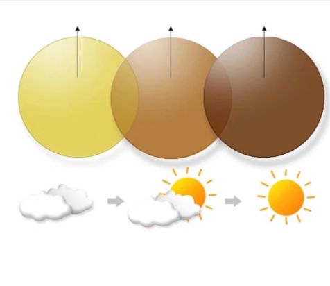 Chashma Ottica Single Vision Polarized Photochromic Lenses Lenses Chashma Ottica Lenses 1.56 Photo Brown With Night Vision Yellow 