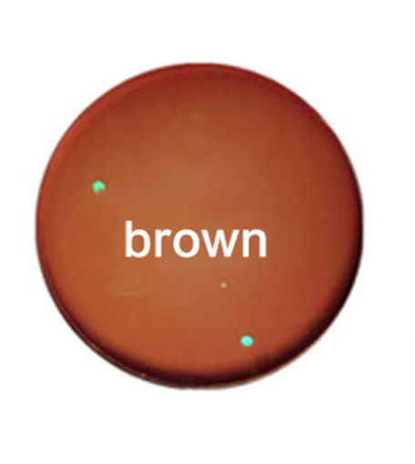 Cubojue Digital Free Form Polarized Progressive Sunglass Lenses Lenses Cubojue Lenses 1.56 Photochromic Brown 