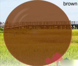 Oveliness 1.56 Index Progressive Photochromic Lenses Lenses Oveliness Lenses Brown  